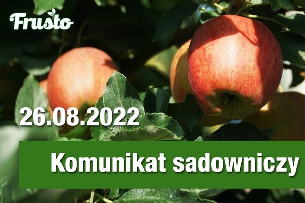 Komunikat sadowniczy 26.08.2022 // dokarmianie wapniem i poprawa wielkości owoców